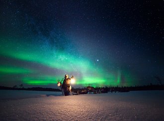 aurora reindeers