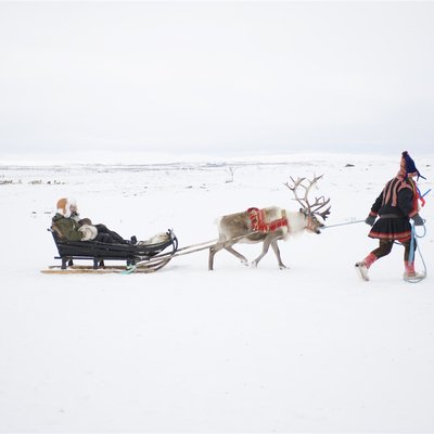 Let the Reindeers Drive You Gently Across the Northern Plains - Norway Travel Packages from India