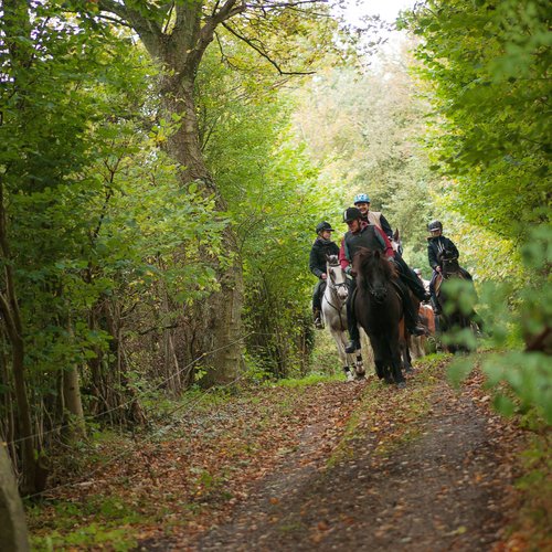 riders in forest by holsteenhus on south funen_original 1_1_105