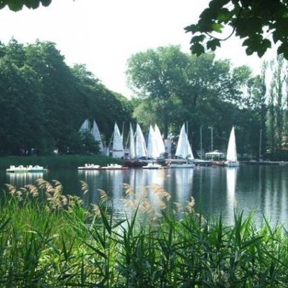 sailing boats on the lake
