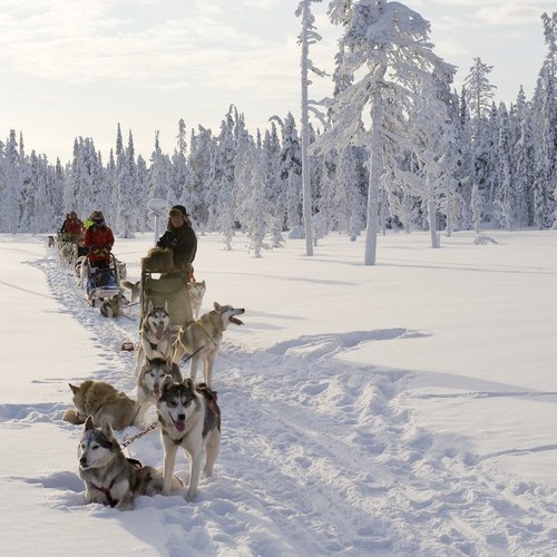 Slow Down this is Finland - Finland Tour Packages from India