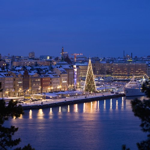 The Big Christmas Tree on Skeppsbron is the Largest Real Christmas Tree in the World - Sweden Tour Packages from India