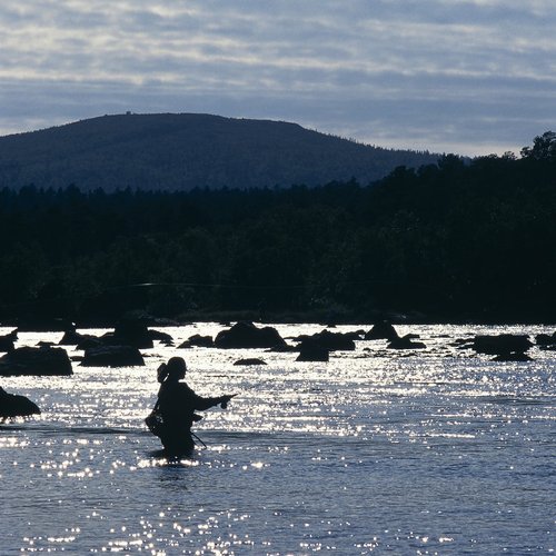 Try Fly Fishing - Finland Northern Lights Tour Packages from India