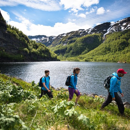 Varied Landscape with Deep Fjords, High Mountain Peaks, and Rugged wilderness - Scandinavia Tours