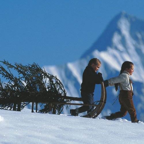 00000025001-weihnachtsbaum-kinder-im-zillertal-oesterreich-werbung-fankhauser