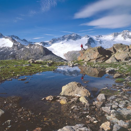 00000031576-zillertaler-alpen-blick-auf-schoenbichler-horn-oesterreich-werbung-popp  hackner