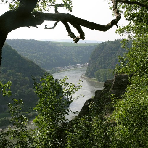 006_unesco_loreley