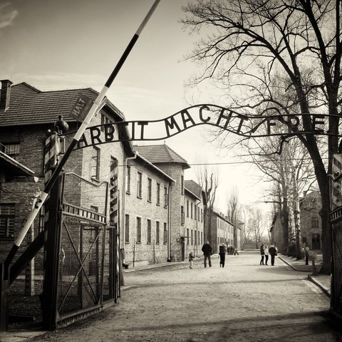 auschwitz-birkenau state museum 