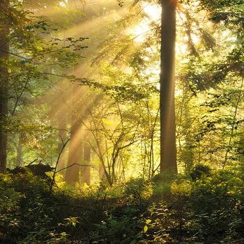 bieszczady national park  poland