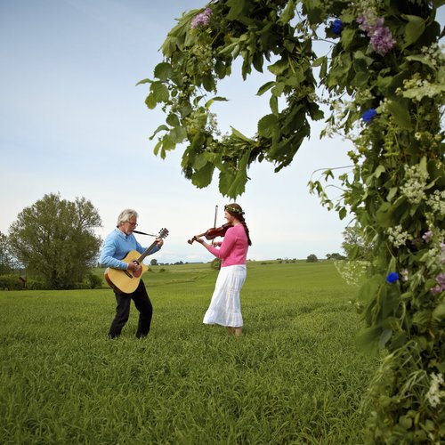 carolina_romare-midsummer_music-1760