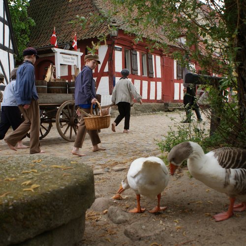 childern and geese_large_8