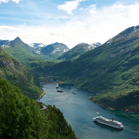 experience the fjords 