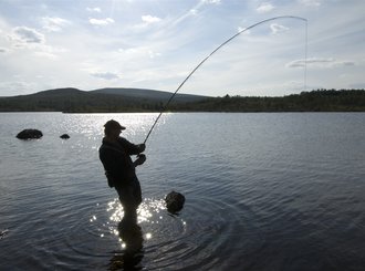 fishing 