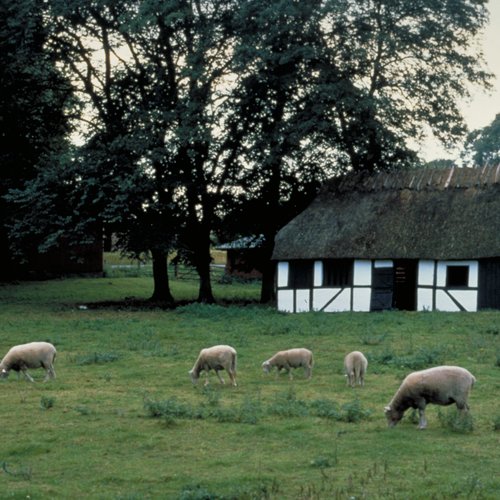 Funen - Denmark’s Garden Island, with Gently Rolling Hills, Orchards and Farmhouses - Denmark tour Packages