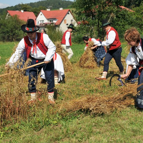 harvest home celebration of wallachia 