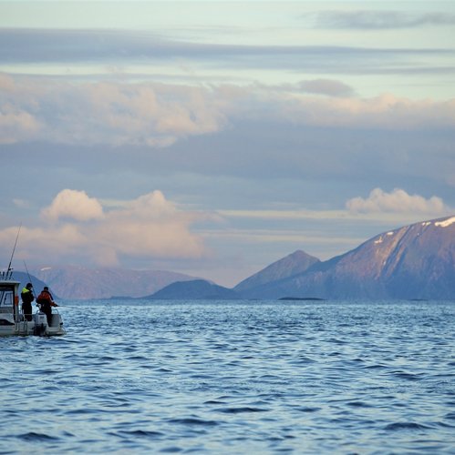 Lofoten - Scandinavia Tours