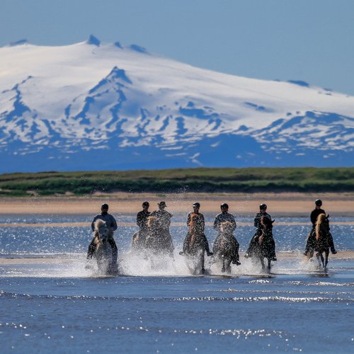 Iceland Longufjorur Mark Vest - Iceland Travel Packages from India