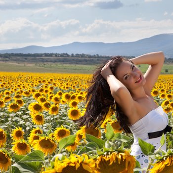 magical sunflower fields bulgaria