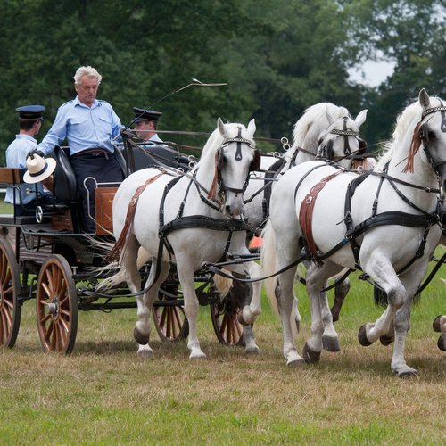 men in the carriage