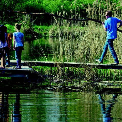 national-park-de-biesbosch_high_cmyk_3792