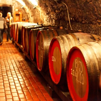 old wine cellar with barrels