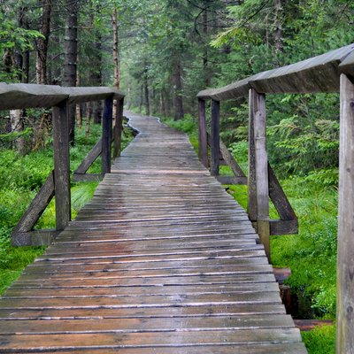 pirin national park 