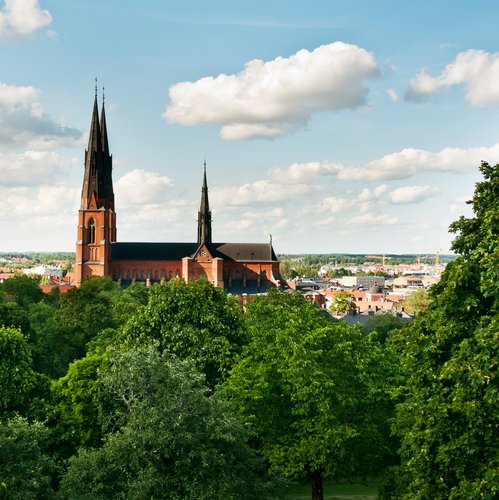 samir_hadi-uppsala_cathedral-1187