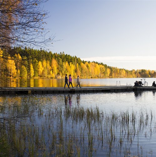 Soak up the Atmosphere of Oslo. Cafes, Bars and Street Performers, Lush Green Forests  - Norway Travel Packages from India