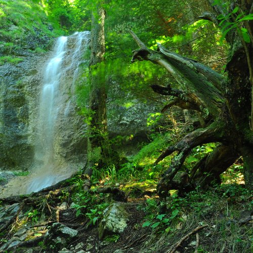 sucha bela gorge  slovakia