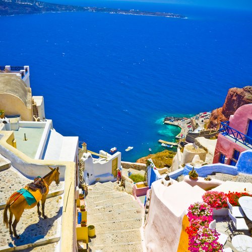 the view on oia town with a donkey, santorini(header)