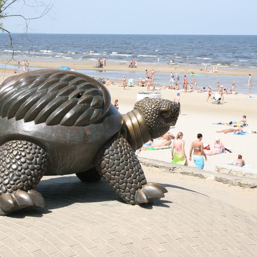 turtle%2520in%2520jurmala%2520beach