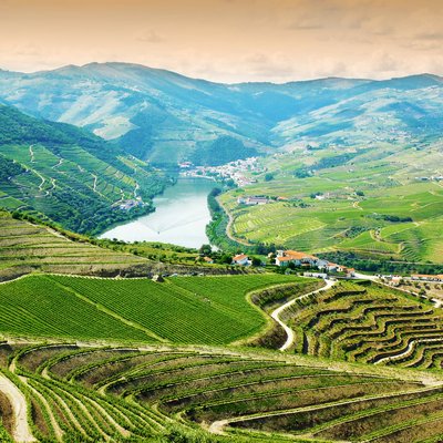 vineyards in douro valley, portugal, portuguese port wine