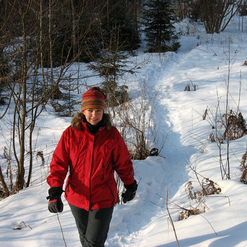 winter walk in latvia